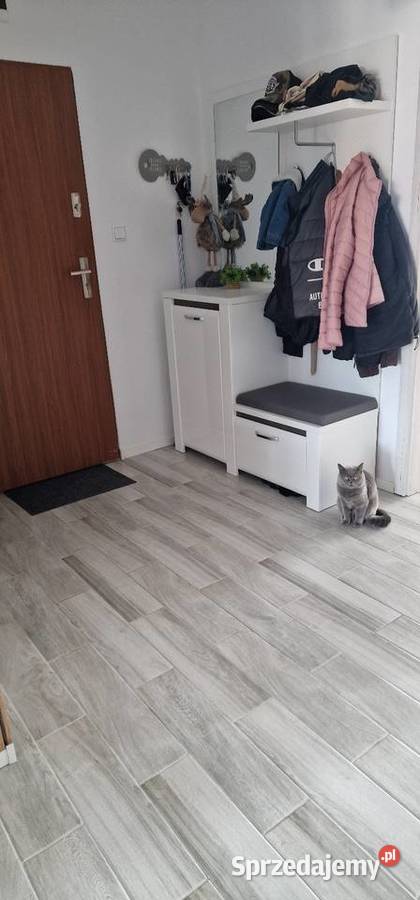 Mieszkanie 7517 z garazem internet Czernikowo