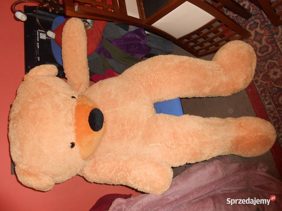 Pluszowy miś 170 Łódź sprzedam