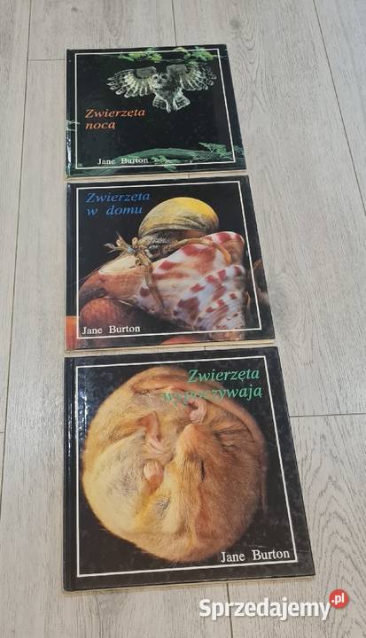 Książka zestaw Zwierzęta Łódź