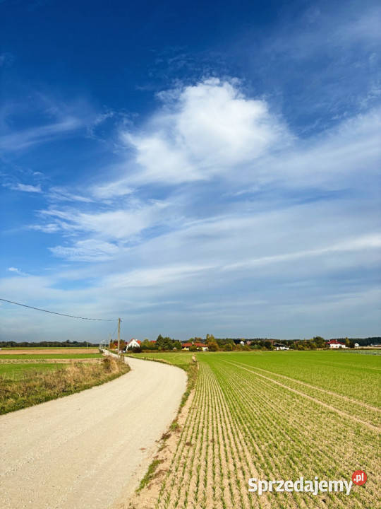 sprzedaży działki 2980m Czołowo Sprzedaż