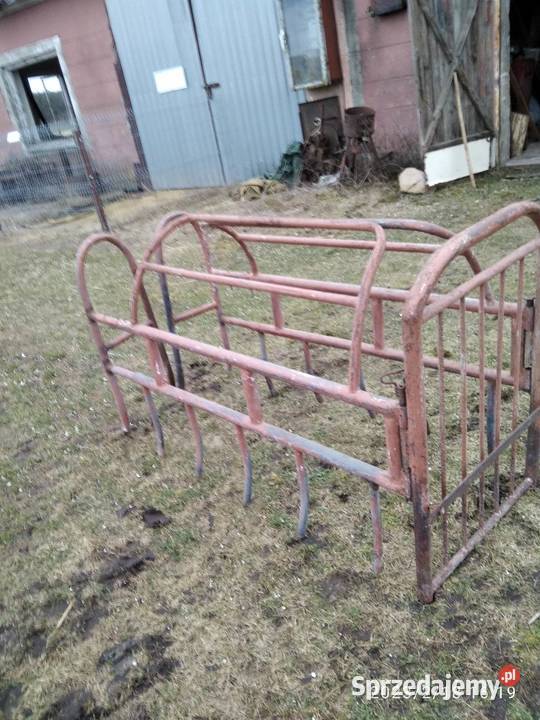 Kojec porodowy macior Pozostałe Łuków