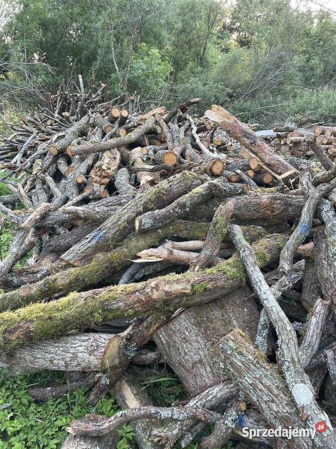 Drewno Opałowe Buk Dąb Sosna Świerk Polanów