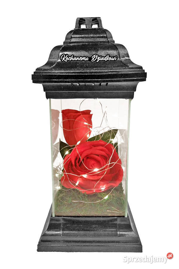 Znicz Kochanej Babci Dziadkowi Dziadkom z różami