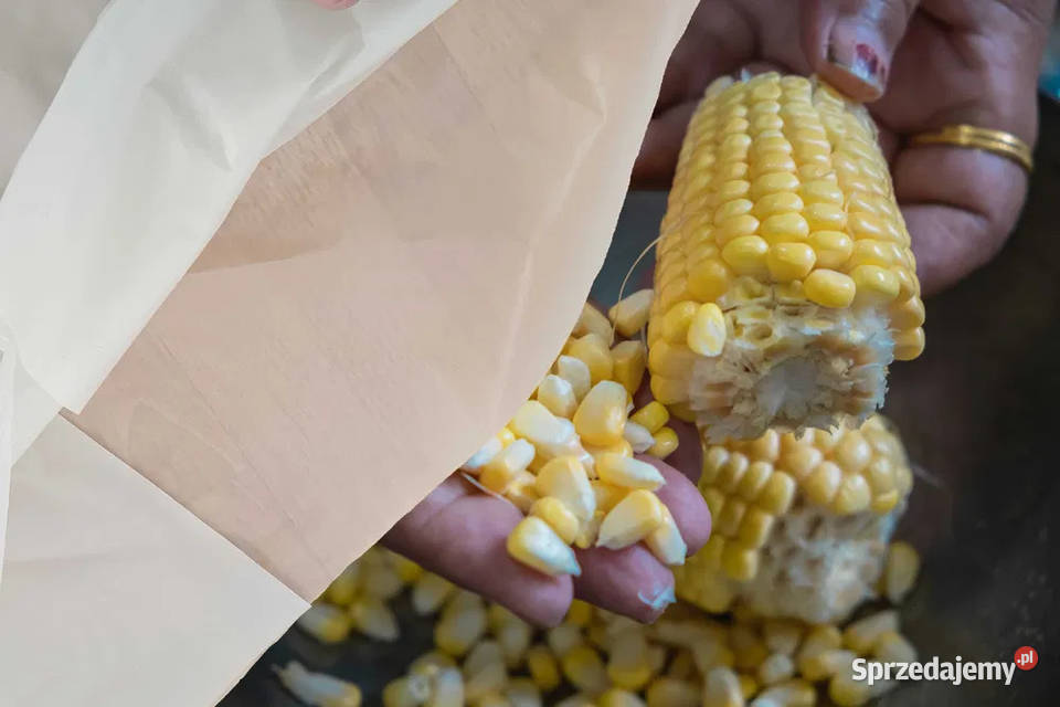 Worki big bags nowe do kukurydzy z wkładem Kraków