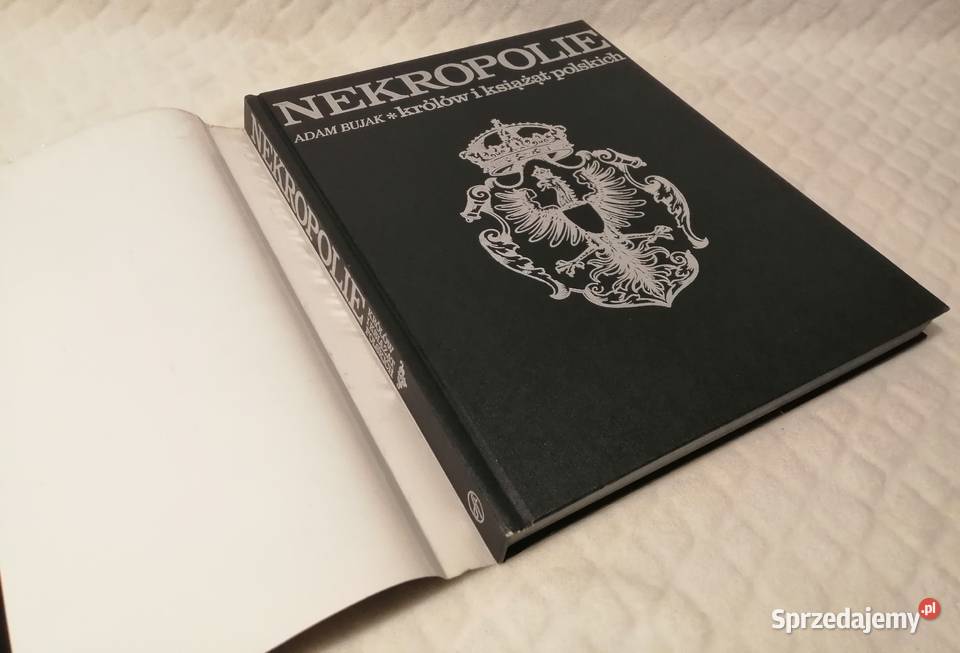 Nekropolie królów i książąt polskich Adam Bujak Czeladź