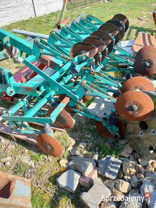 Redlice talerzowe Sulky Accord Amazone małopolskie Książ Wielki