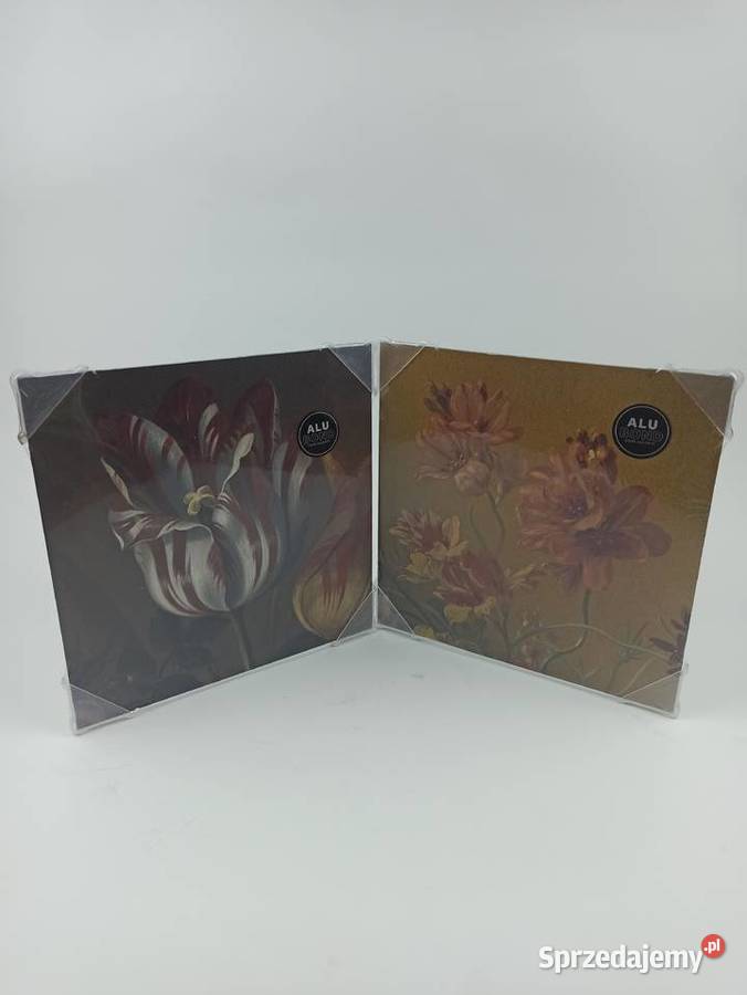 Obraz Rama Z Dibondu 20x20 Kwiaty Stalowa Wola