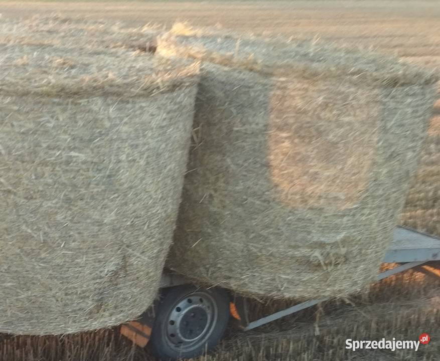Siano baloty siano w rolce słoma w balotach Krapkowice