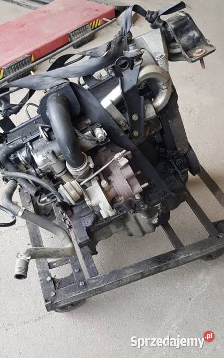 SILNIK GOŁY SŁUPEK 15 DCI RENAULT MEGANE II CLIO Działoszyce