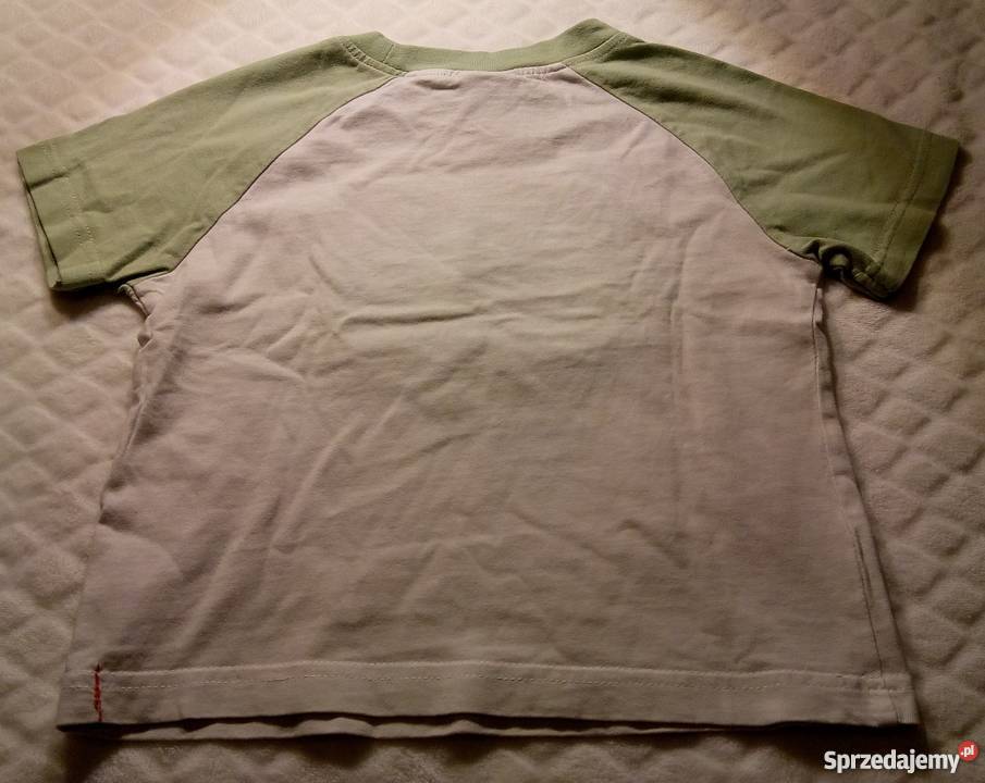 Bluzka chłopięca krótki rękaw 32 1824 miesiące śląskie Rogoźnik sprzedam