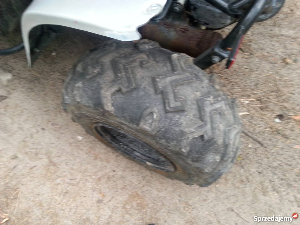 Buggy Zumico podkarpackie