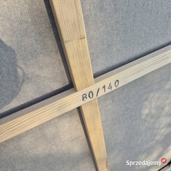 Dwa duże blejtramy 140x80 i 130x100 2 sztuki Brzesko sprzedam