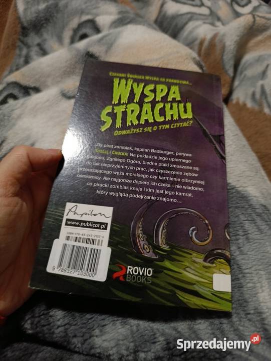 Angry Birds zatytułowana Kapitan Badburger  Książki dla dzieci Poznań