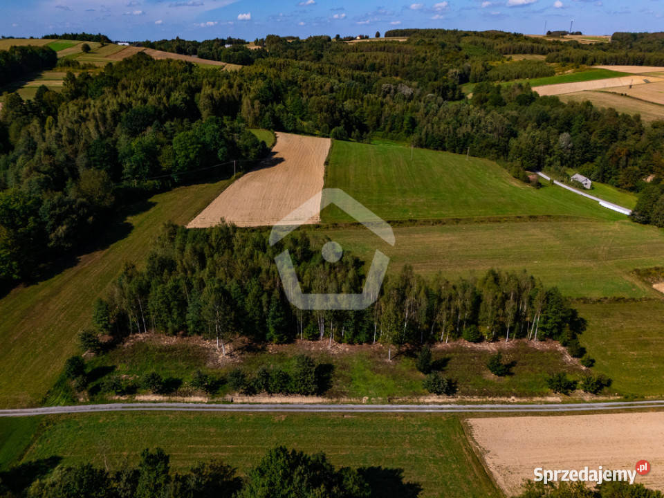 Działka lesie z WZ 34 ar 16 ar las podkarpackie Zagorzyce