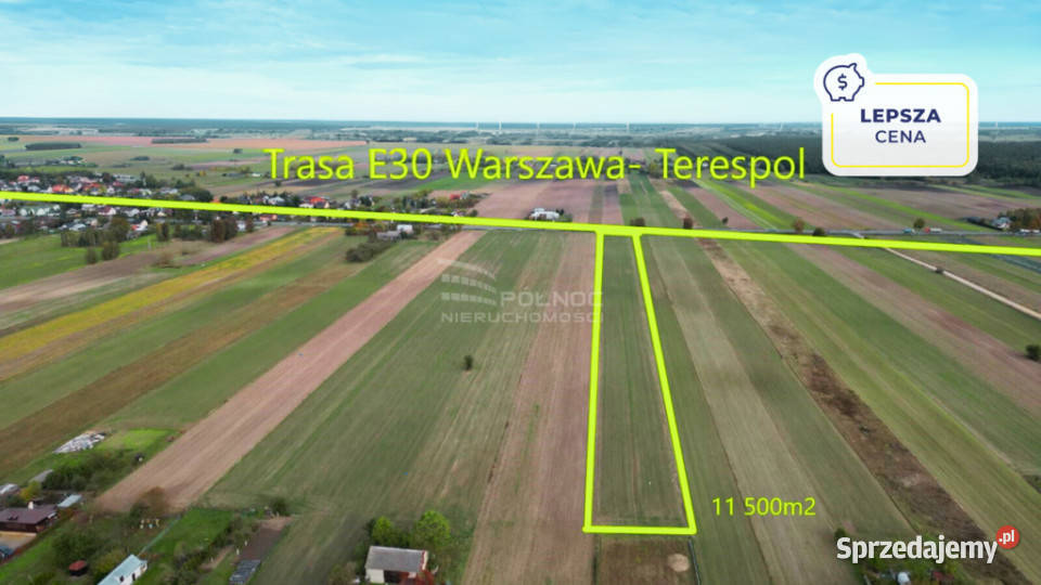 Działka rolna 115 Ha w Lachówce Dużej DK2 Sprzedaż lubelskie Lachówka Duża sprzedam