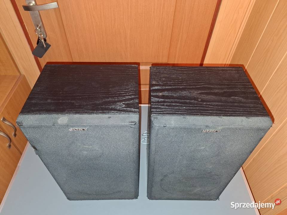 Kolumny Głośnikowe SONY SSA102 2 100 Sprawne mazowieckie