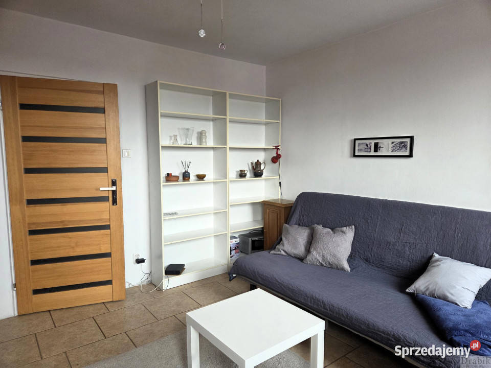 Ogłoszenie mieszkanie Kraków 231m2 1 pokój Wynajem Mieszkania