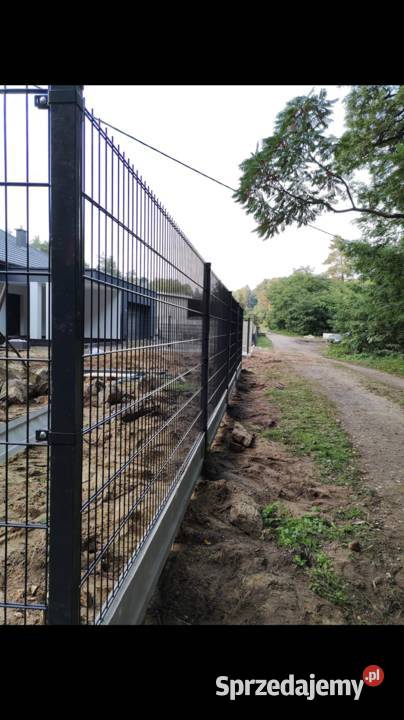 Ogrodzenia Palisadowe Panelowe Ocynk Ral 3D2D ocynk Szczawin Kościelny sprzedam