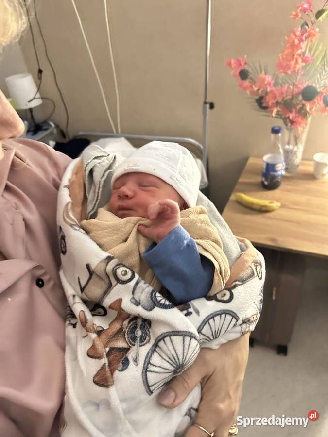 Camaro 36V automat 331KM