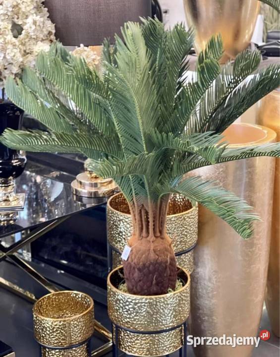 Sztuczna palma z kokosem żywa PREMIUM hit małopolskie Nowy Sącz