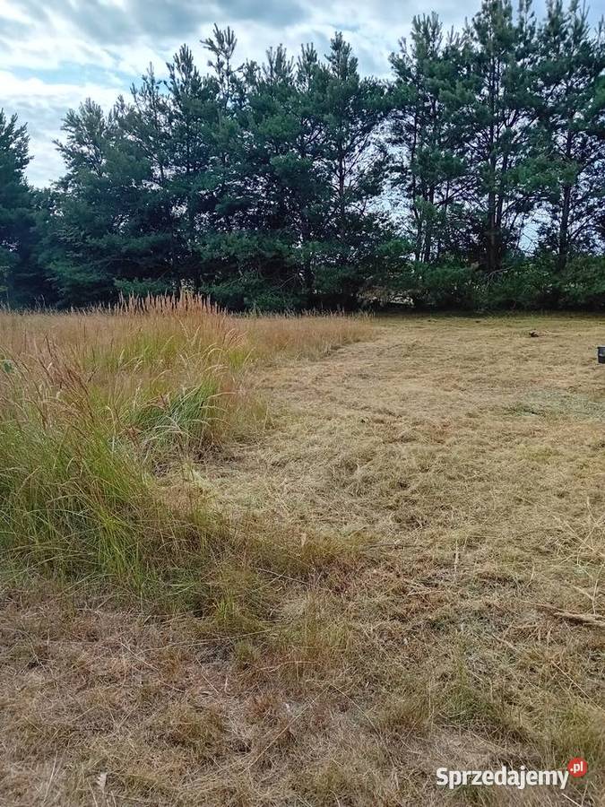 Pracę ogrodnicze Pozostałe lubelskie Lublin