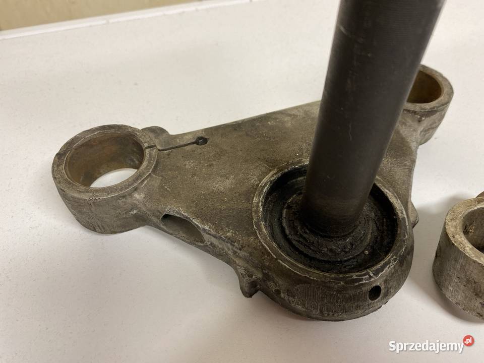 Półka dolna Pannonia Panonia dolnośląskie Bolesławiec