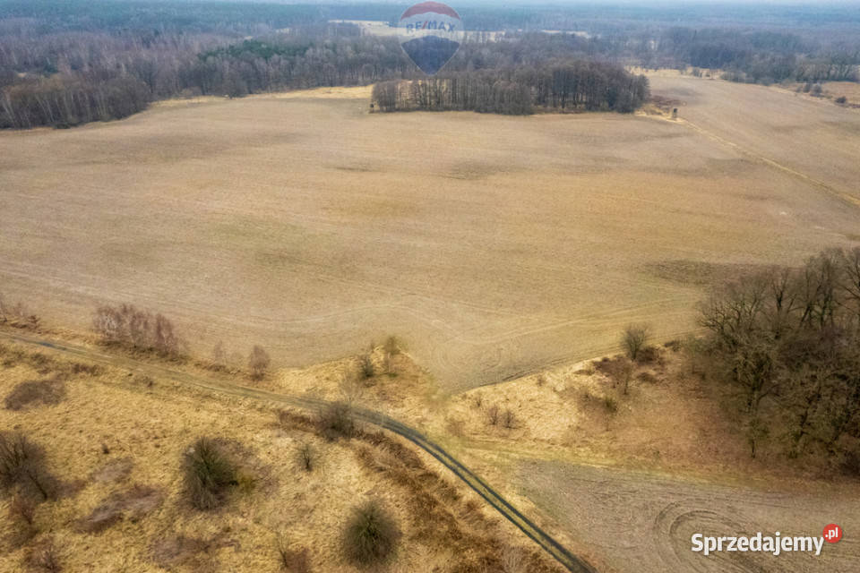 Działka rolna Grabowno Wielkie gm Twardogóra 159m dolnośląskie