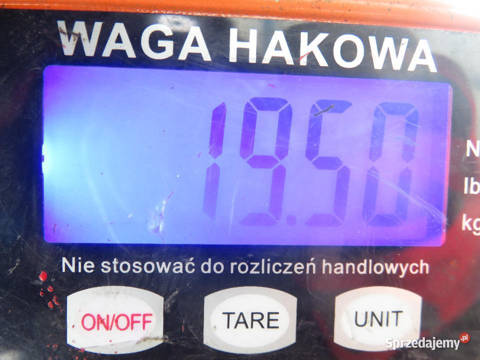 SANKI PRZÓD OPEL ZAFIRA B A05 19 CDTI 8V 120 Z sprzedam