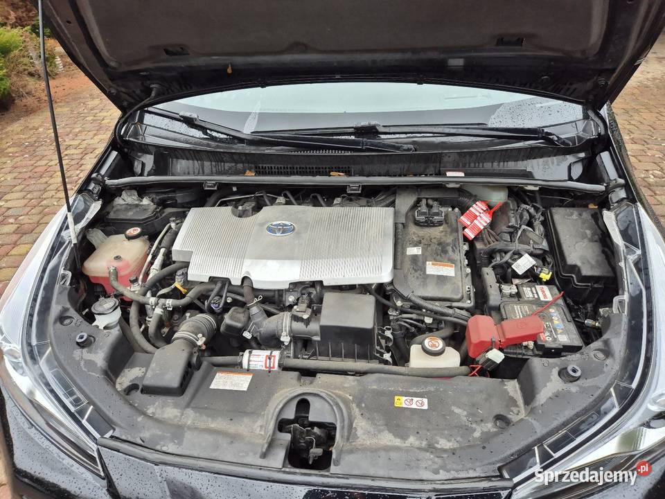 TOYOTA PRIUS EUROPA wielkopolskie Piła