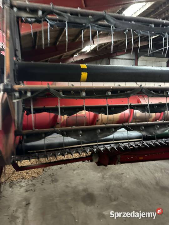 Kombajn Zbożowy Massey Ferguson 40RS Heder 6m Zbożowe Płonne-Plebanka