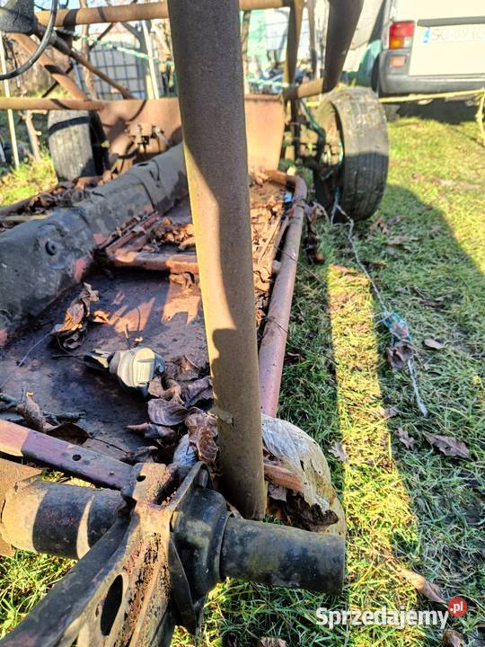 Baggy garbus Wrocław