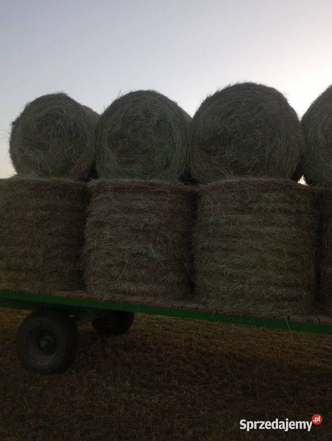 Prasa belująca welger rp12 Rolujące (belujące) Magnuszew