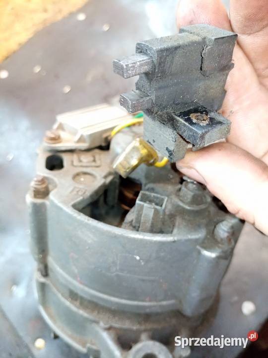 Alternator polonez