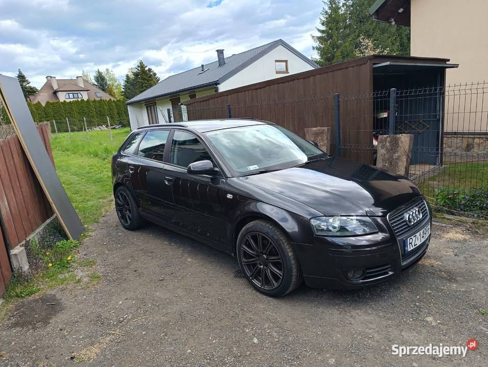 Do sprzedania Audi a3 8p 19tdi pr Rzeszów
