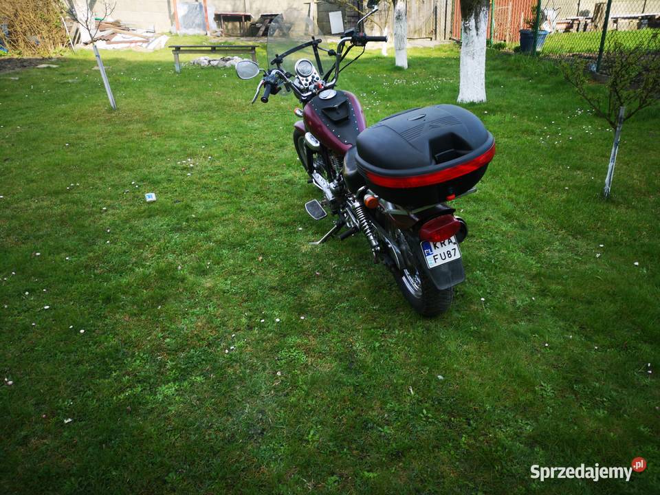 Chopper Rex SMC 12550