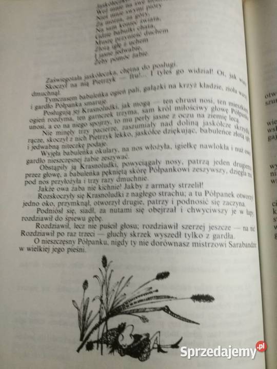 O Krasnoludkach i sierotce Marysi Książki dla dzieci Lublin