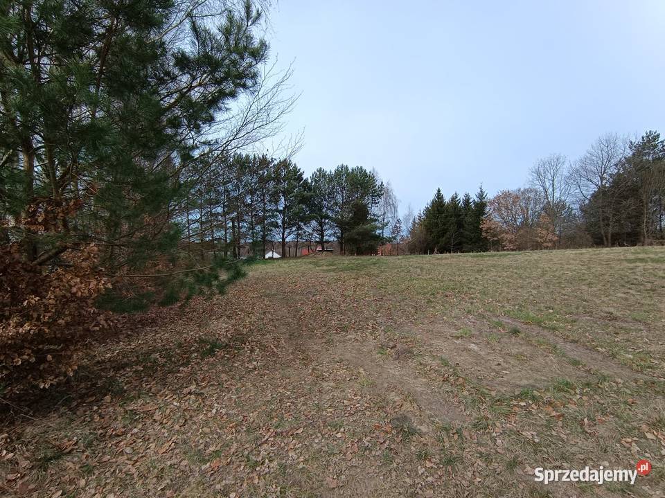 Działka rolna Przeradz gmina Grzmiąca zachodniopomorskie