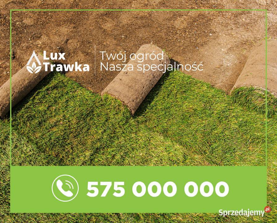 Trawa w rolce Trawa z rolki Dostawa na terenie Rabka-Zdrój