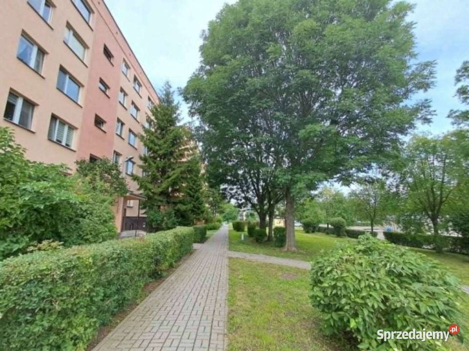 3 pokoje Parter Gwardii Ludowej bez prowizji 6517zł/m2 mazowieckie