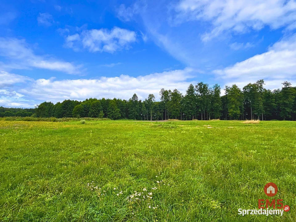 Działkę sprzedam 3030 metrów Harsz 3030m2 sprzedam