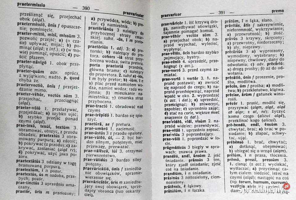 Słownik łacińsko polski Kazimierz Kumaniecki Chełm sprzedam