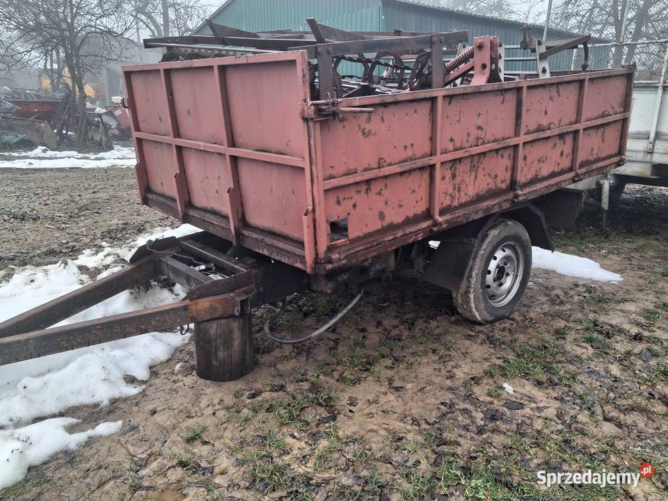 Przyczepa wywrotka 1osiowa sprzedam