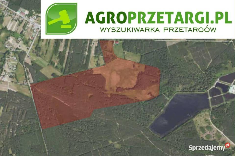 Dzierżawa 1000 ha gruntu rolnego Kolbuszowa sprzedam