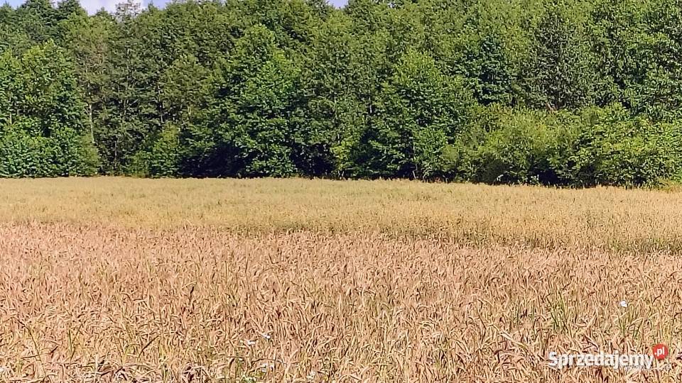 Sprzedam działkę Truszki-Zalesie