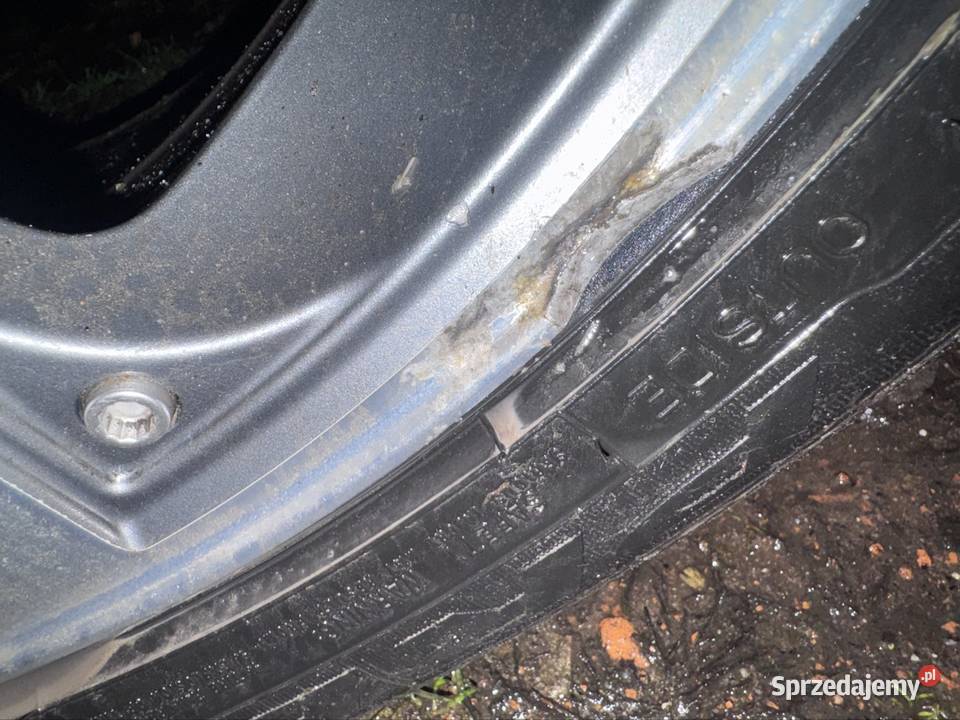 Koła Santa Monica 2254517 5x100 Samochodowe Korytnica