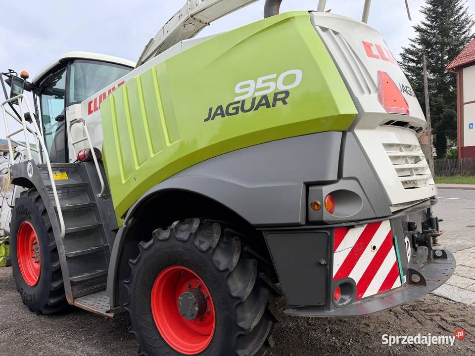 Sieczkarnia do kukurydzy Claas Jaguar 950 w dolnośląskie Nowa Ruda