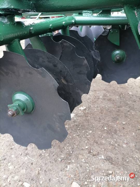 Talerzówka famarolu Słupsk nieuszkodzony Osobnica