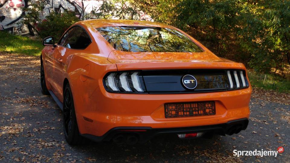 FORD MUSTANG GT V8 450 112020 SALON POLSKA Mustang Zielona Góra
