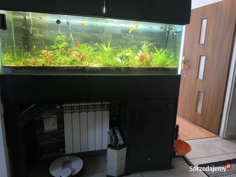 Akwarium z życiem 300 L Siedlec
