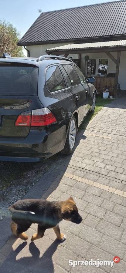 E61 ogranicznik prędkości lubelskie Trawniki